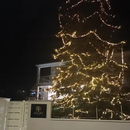 L'ulivo D'oro Латерца