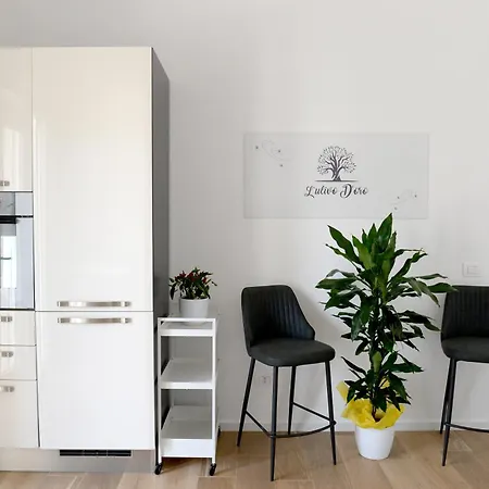 L'ulivo D'oro Laterza